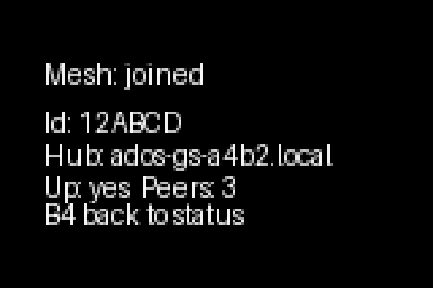 Mesh joined status showing the mesh id, the hub address and three peers